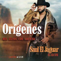 Cover of Orígenes - Mis Éxitos Con Norteño (Edición De Lujo)