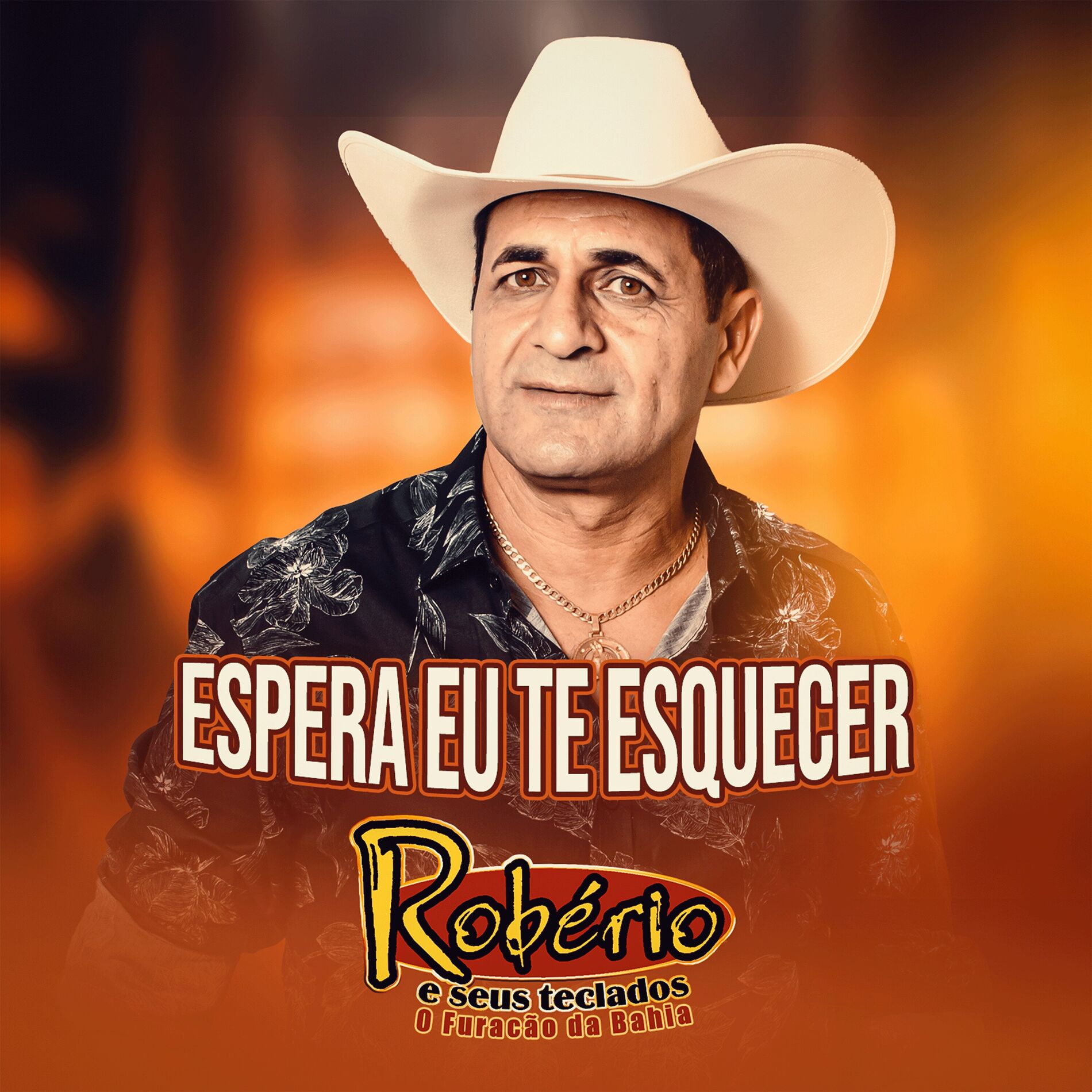 Album cover of Espera Eu Te Esquecer