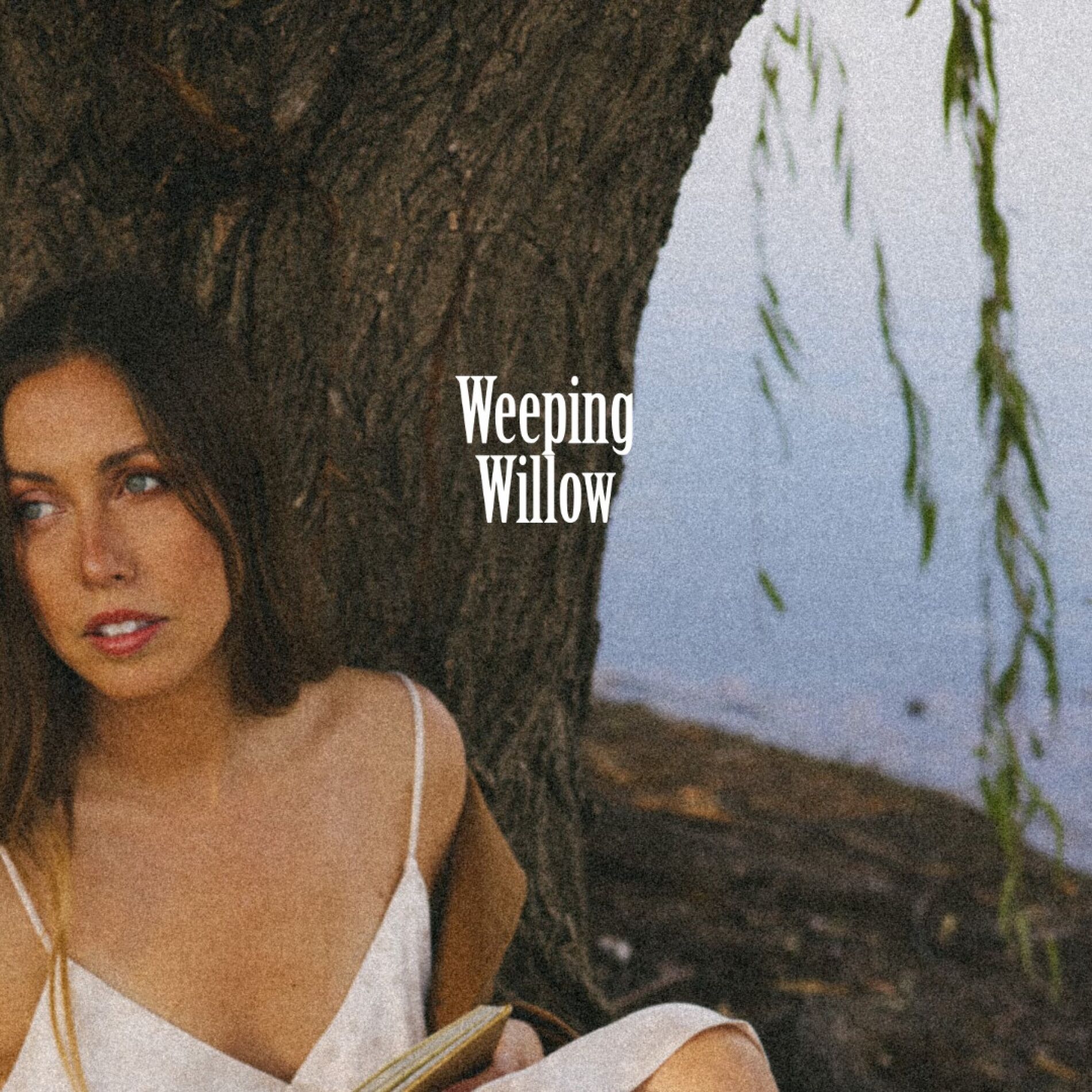 Album cover of Weeping Willow