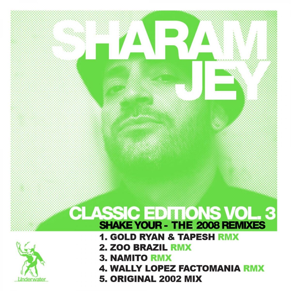 Album cover of Shake Your... The 2008 Remixes