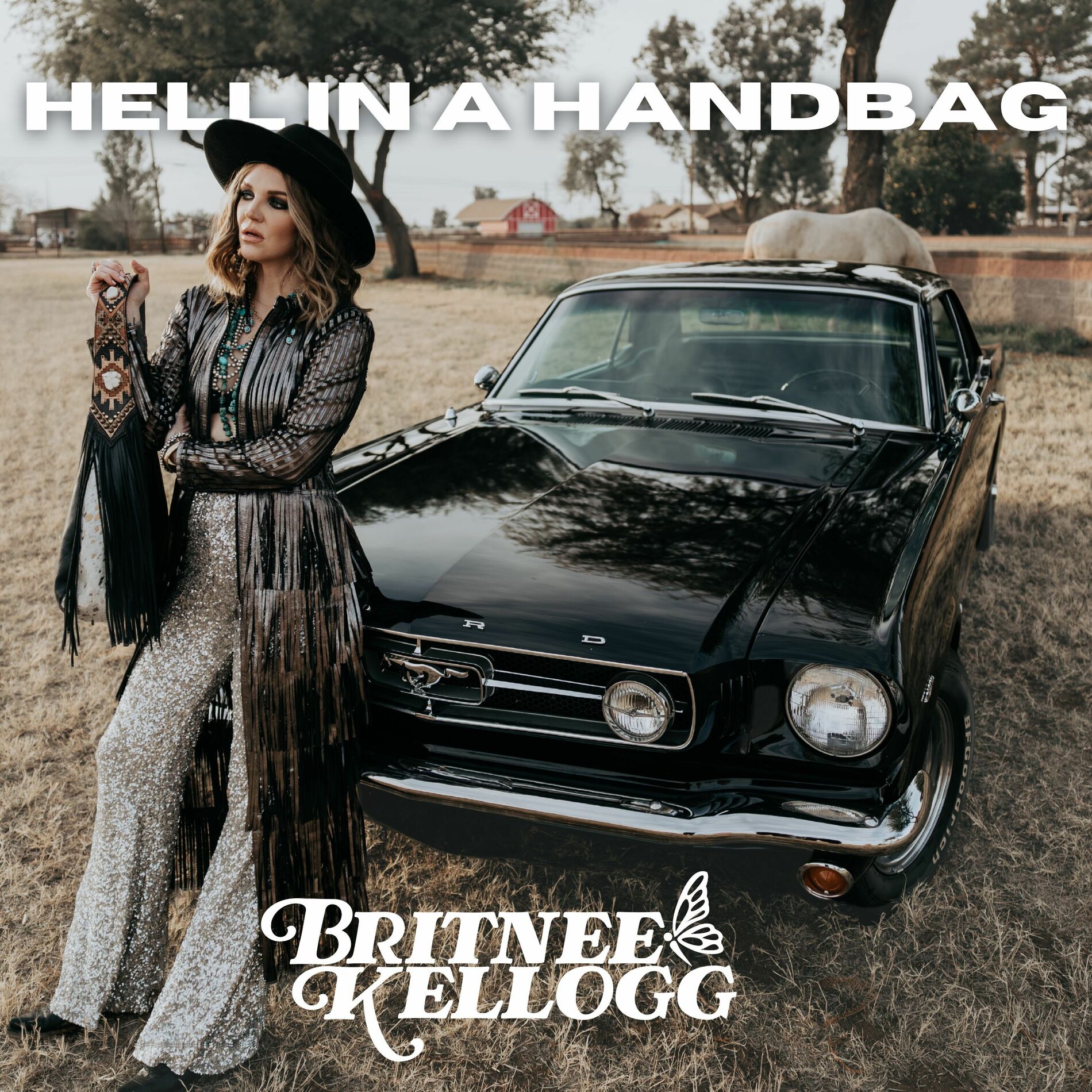 Album cover of Hell in a Handbag
