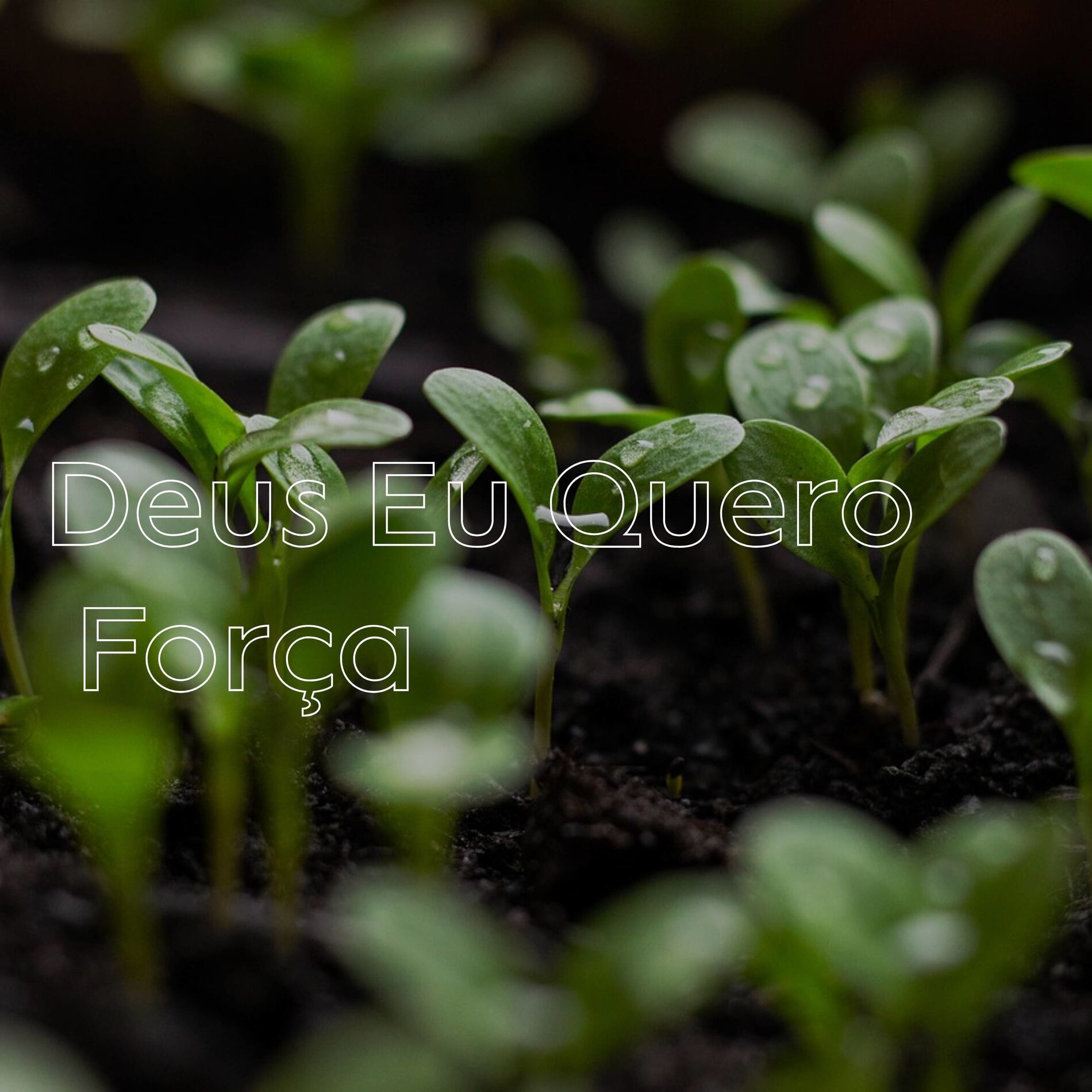 Album cover of Deus Eu Quero Força