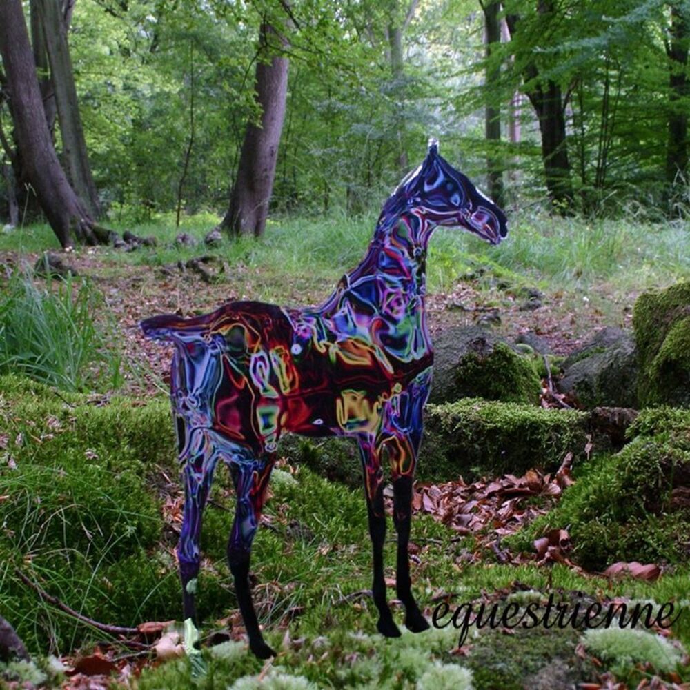 Picture of Equestrienne