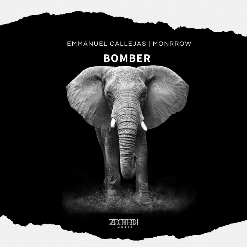 Picture of Bomber