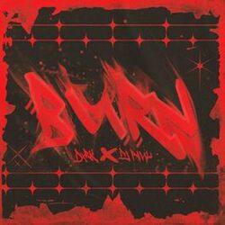 Cover of BURN