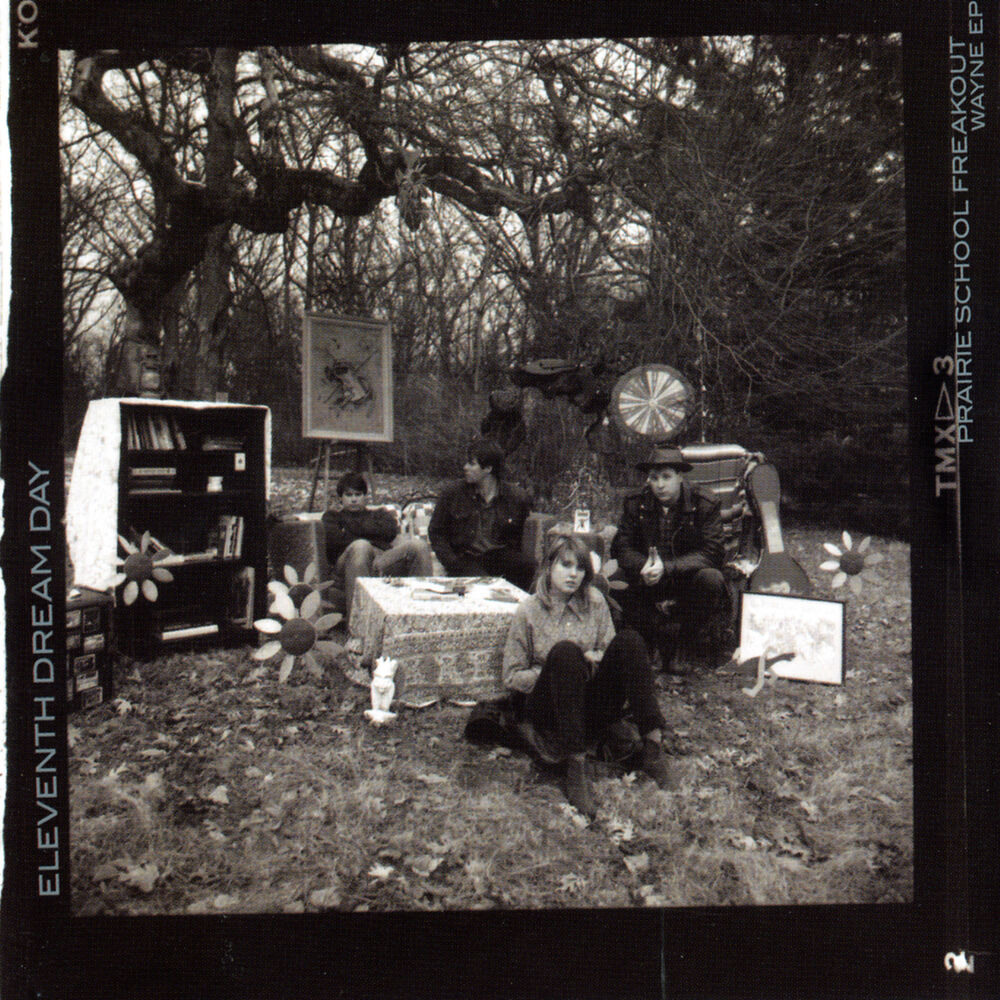 Picture of Prairie School Freakout / Wayne EP