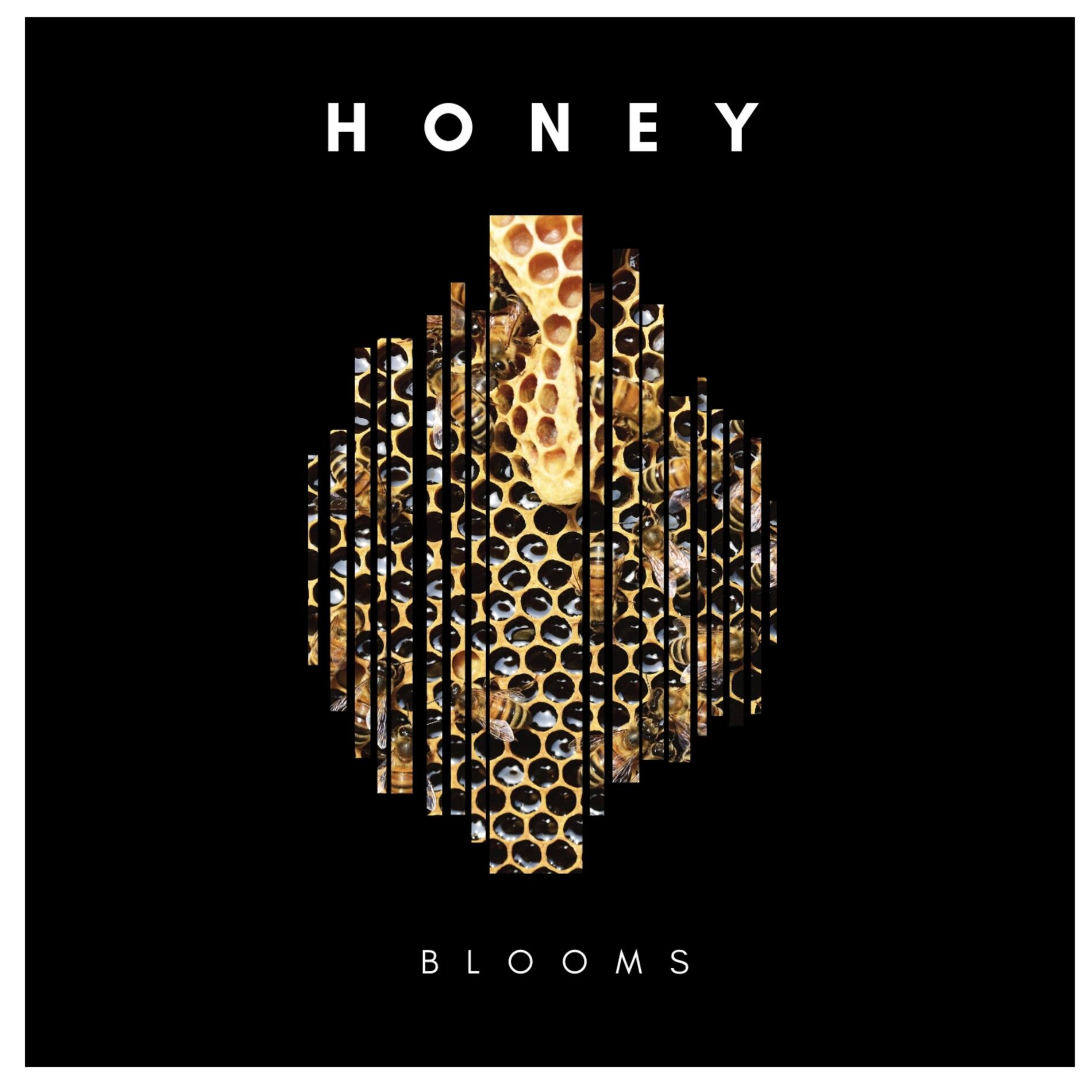 Album cover of Honey