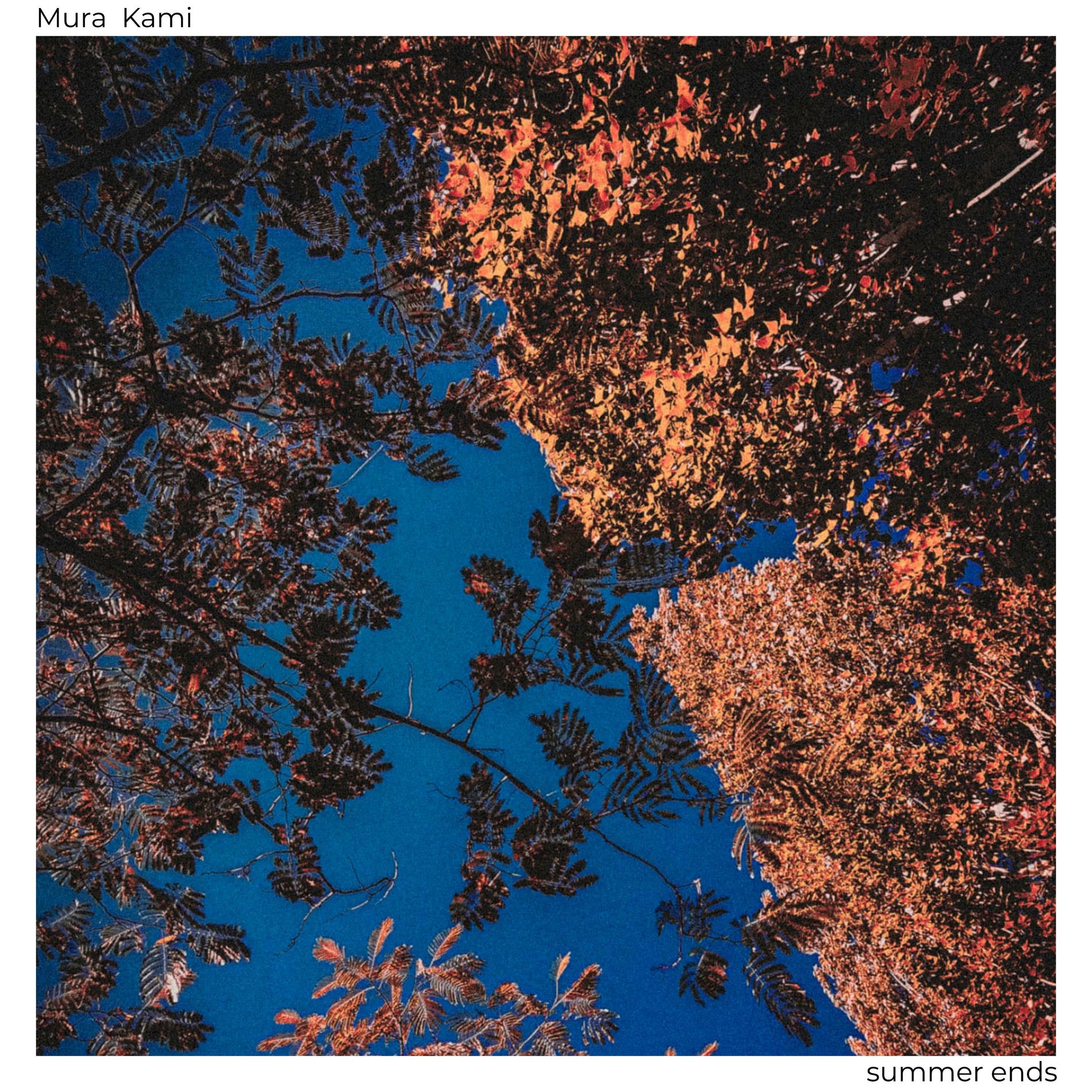 Album cover of Summer Ends