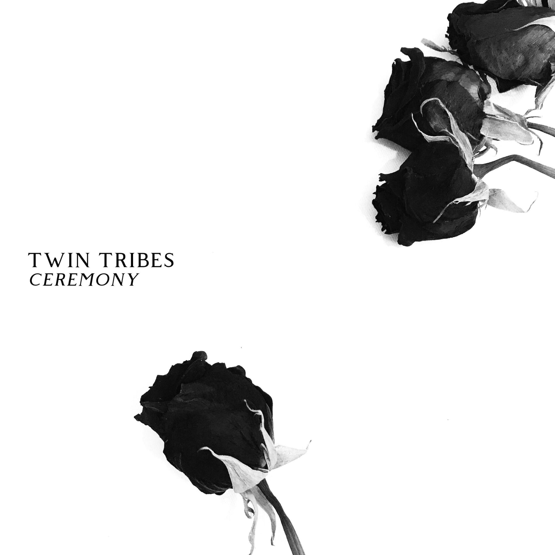 Album cover of Heart & Feather