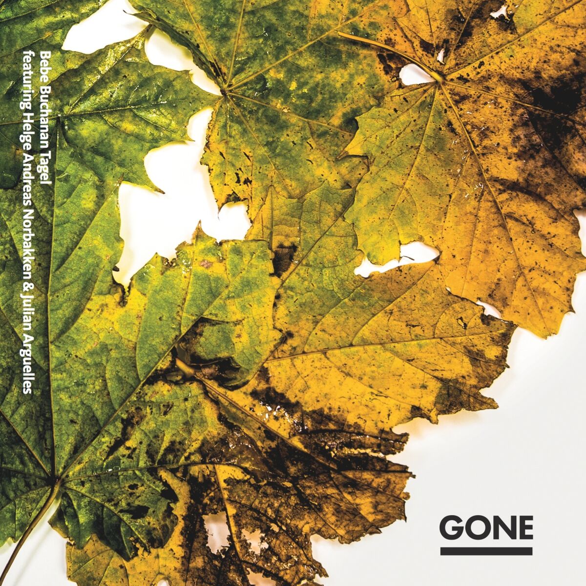 Album cover of Gone
