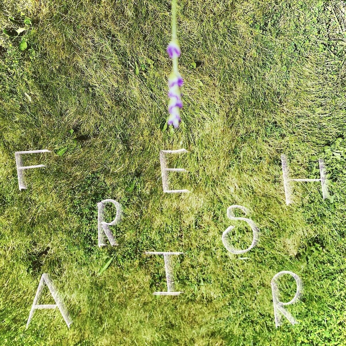 Album cover of Fresh Air