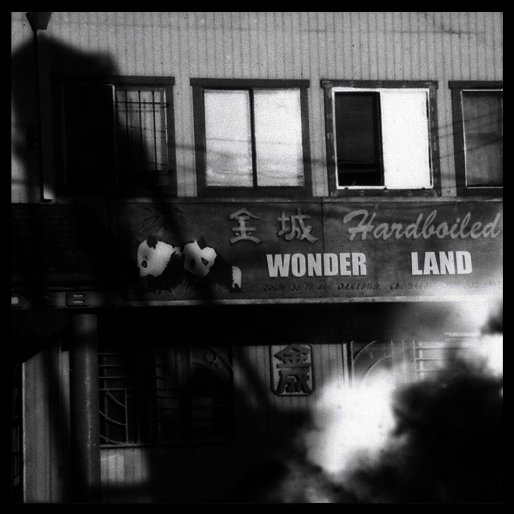 Picture of Hard-Boiled Wonderland