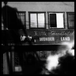 Cover of Hard-Boiled Wonderland