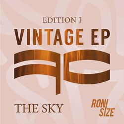 Cover of The Sky