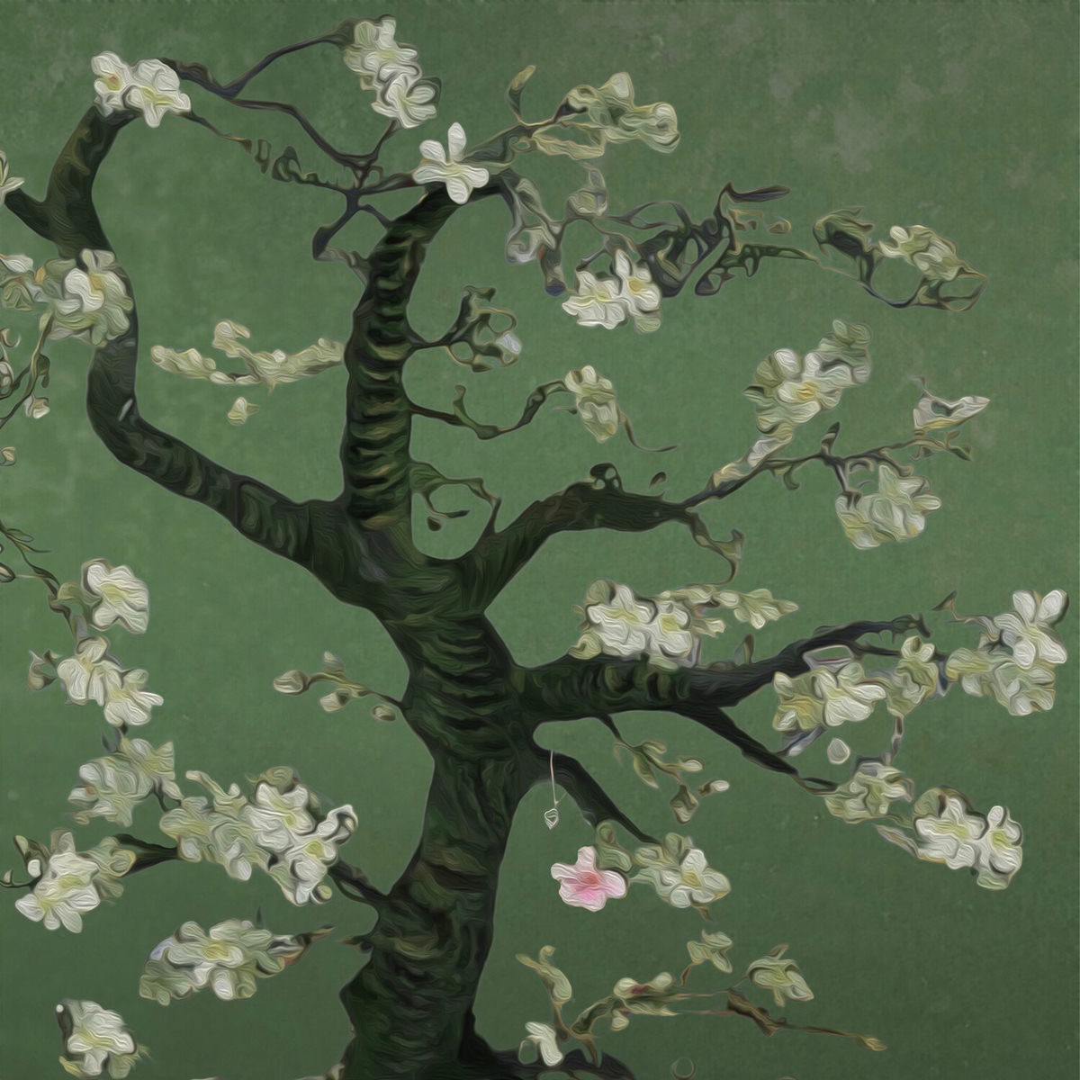 Album picture of her