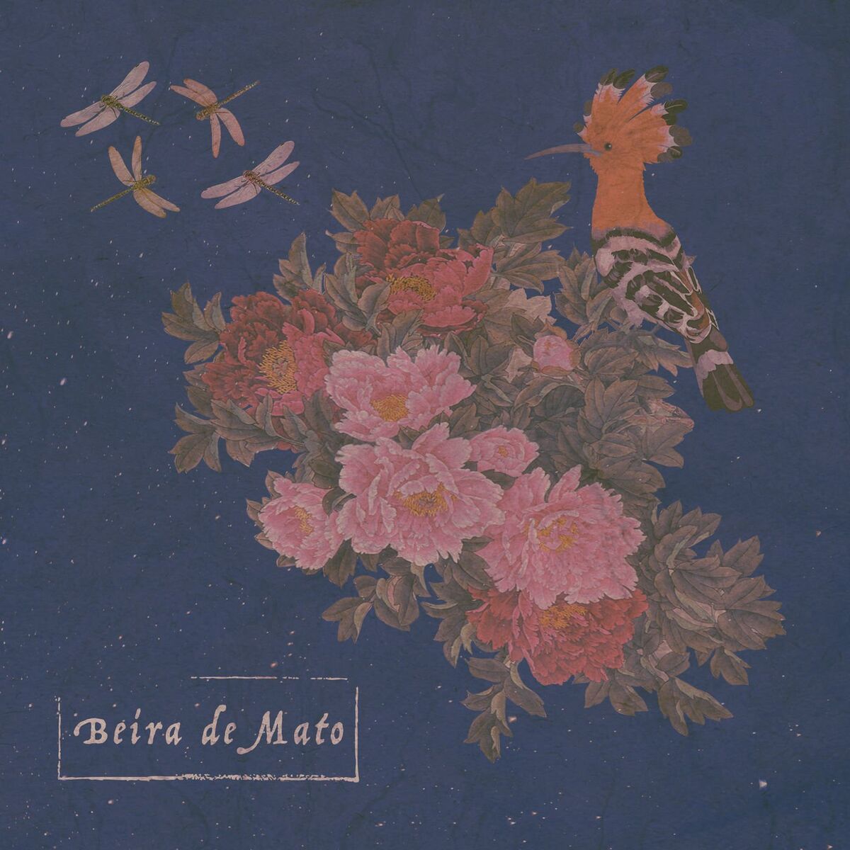 Album cover of Beira de Mato