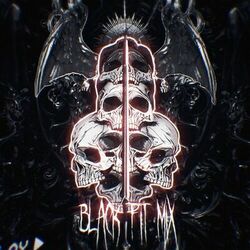 Cover of Black Fit (ditro Mix)
