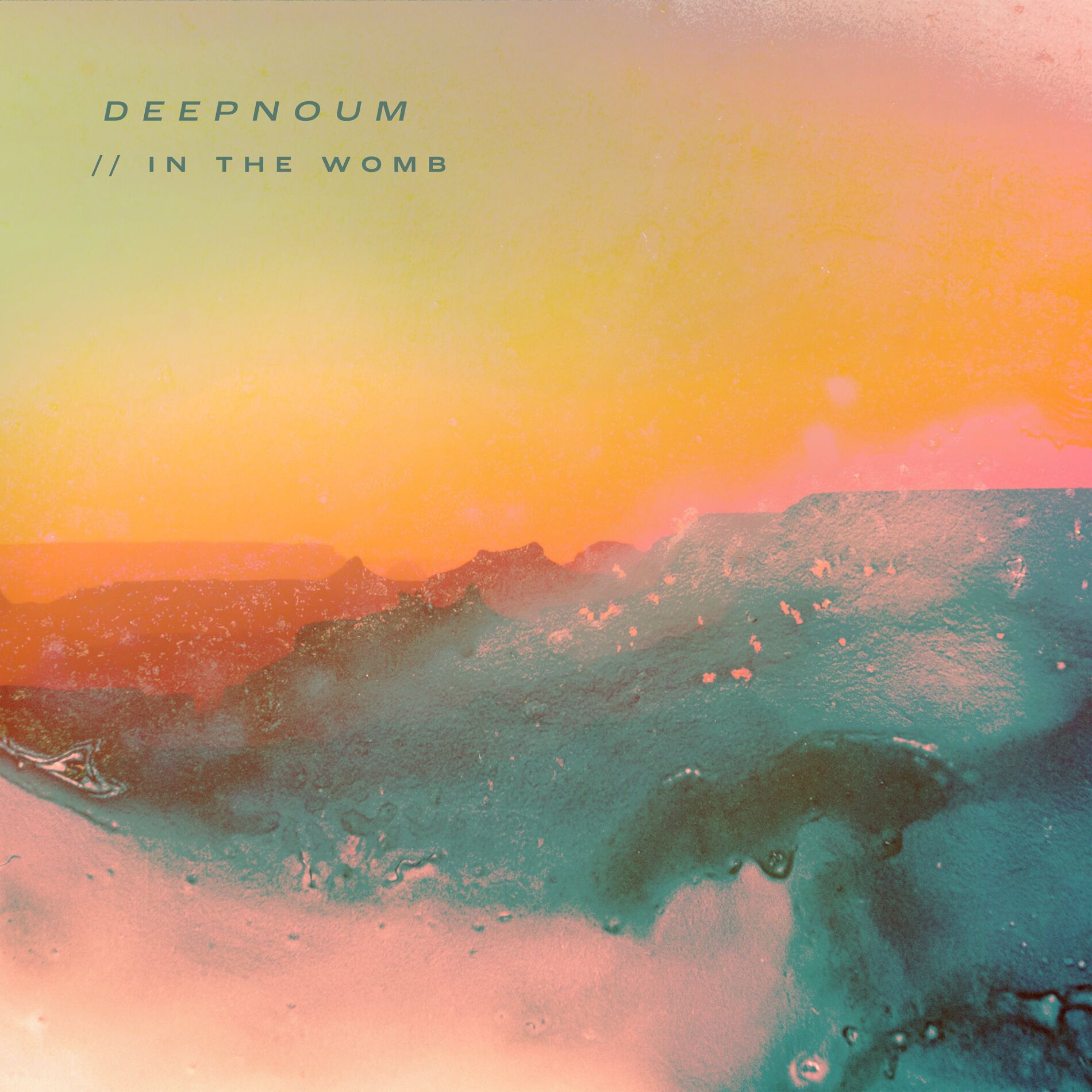 Album cover of In the womb