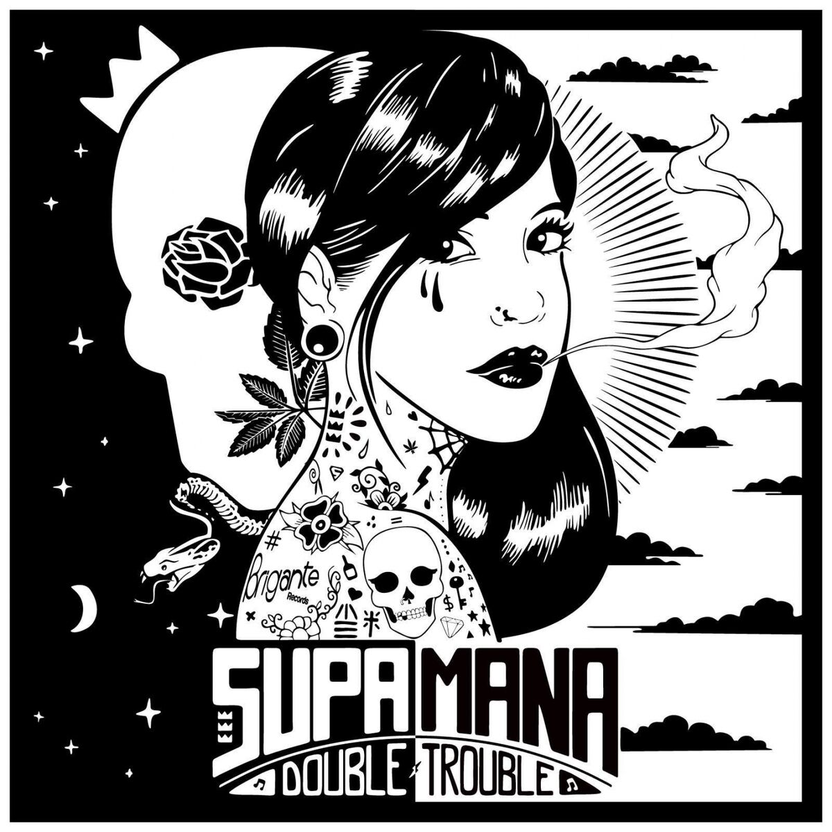 Album cover of Double Trouble