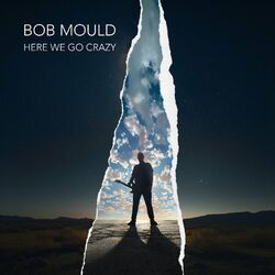 Cover of Here We Go Crazy