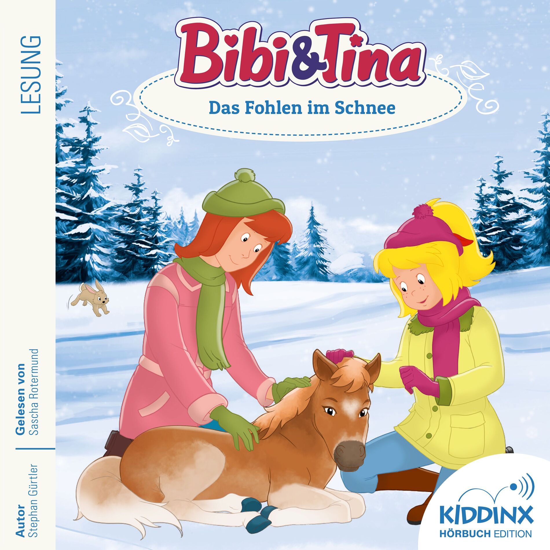 Album cover of Kapitel 001: Das Fohlen im Schnee