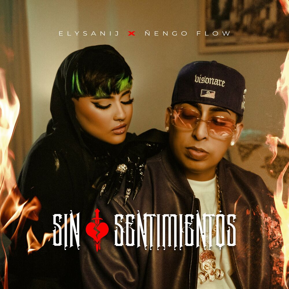 Picture of Sin Sentimientos