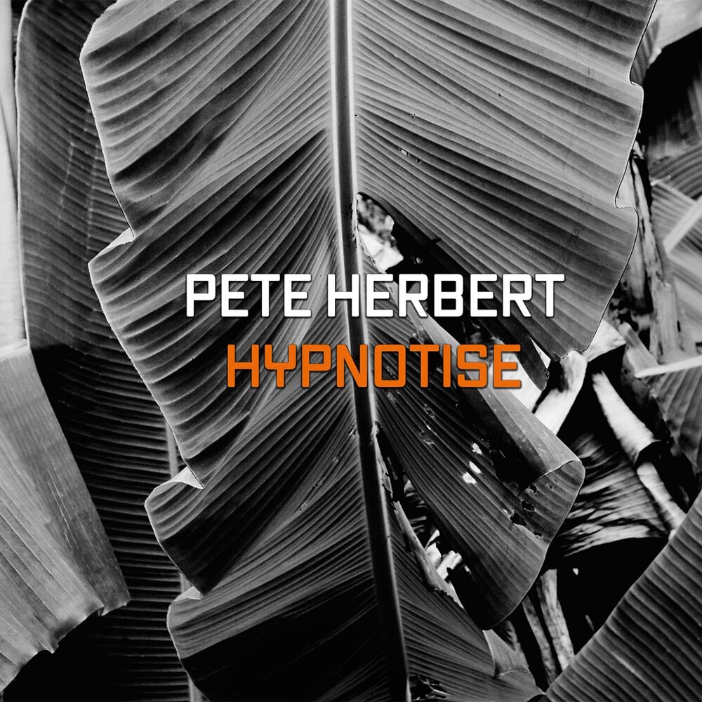 Picture of Hypnotize