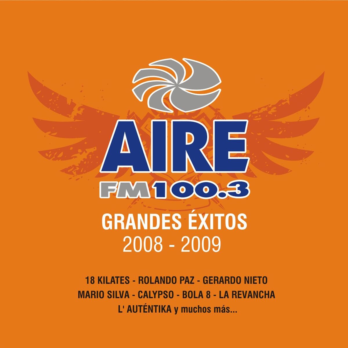 Album cover of Aire Fm 100.3 Grandes Exitos 2008 - 2009