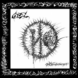 Cover of Honed Blade