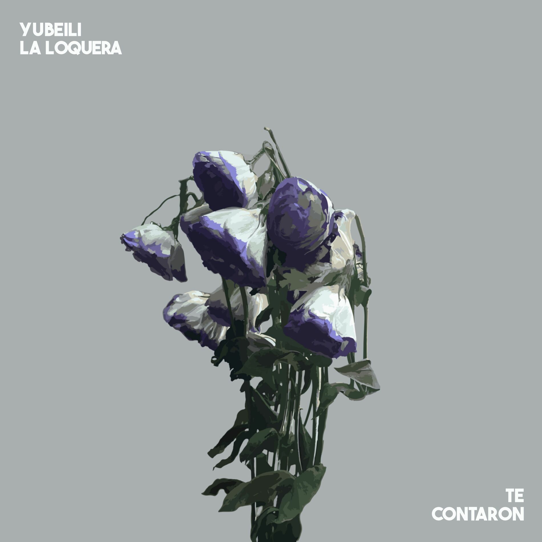 Album cover of Te Contaron