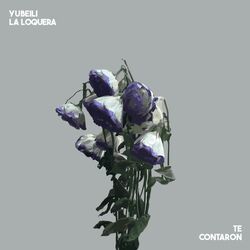 Cover of Te Contaron