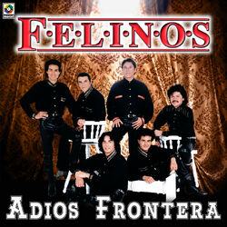 Cover of Adiós Frontera