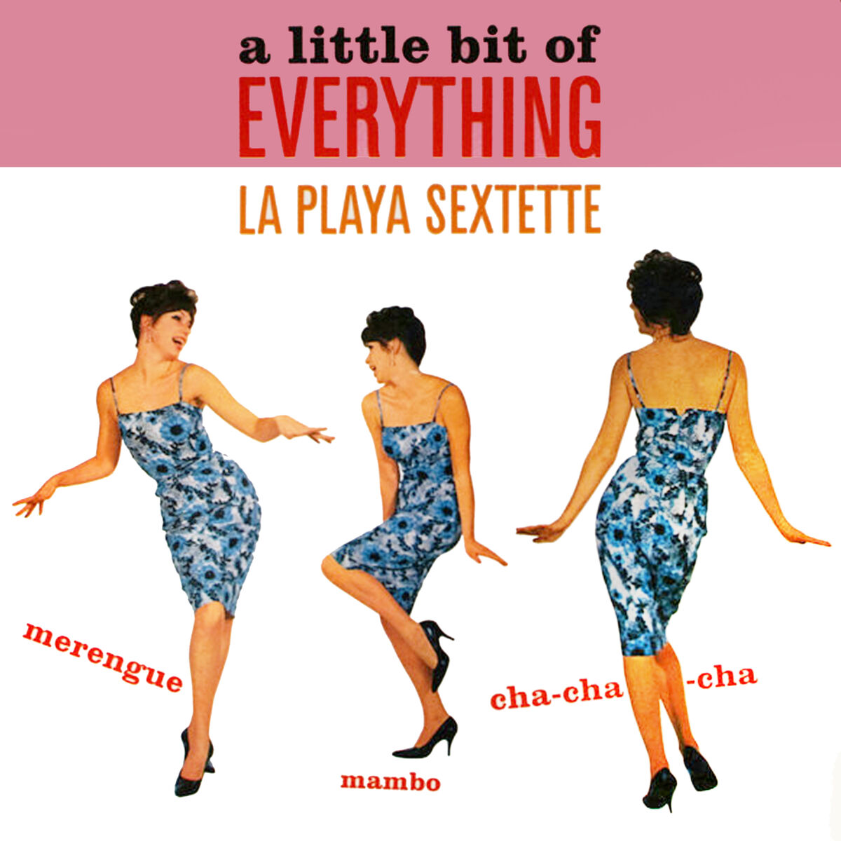 Album cover of A Little Bit Of Everything