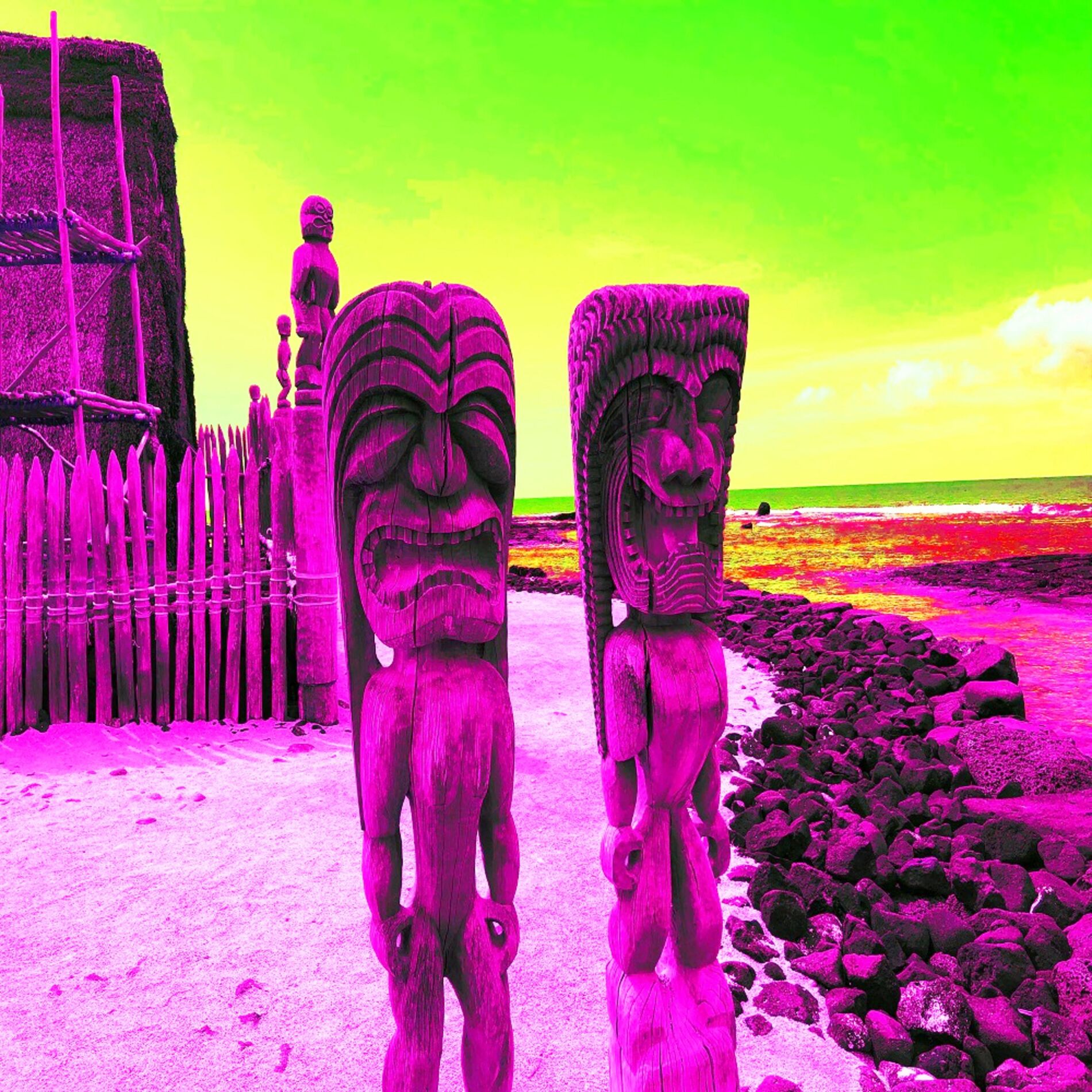 Album cover of Hawaii Mandolin Tour