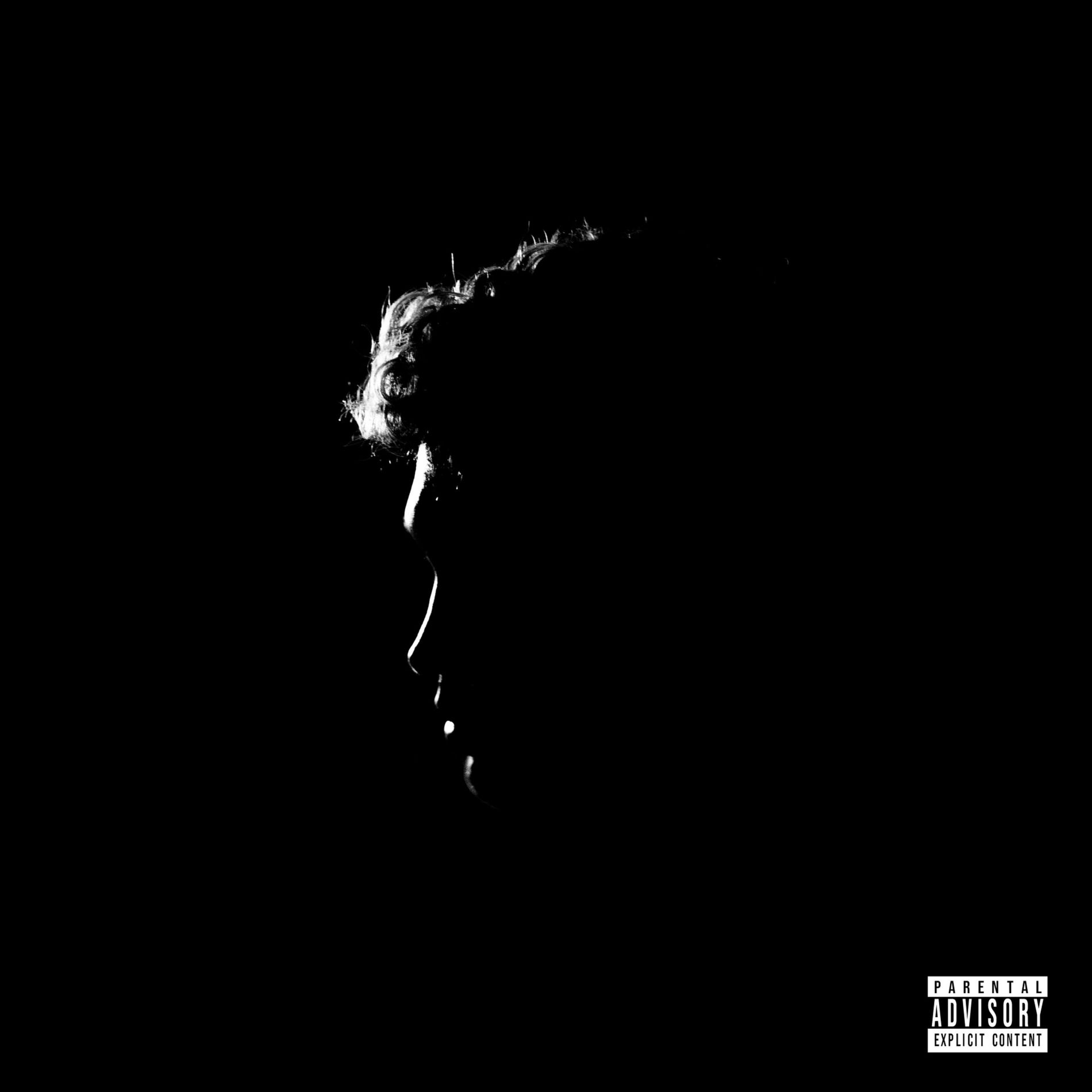 Album cover of Q . E . P . D .