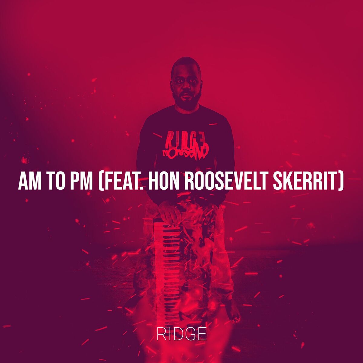 Album cover of Am to Pm