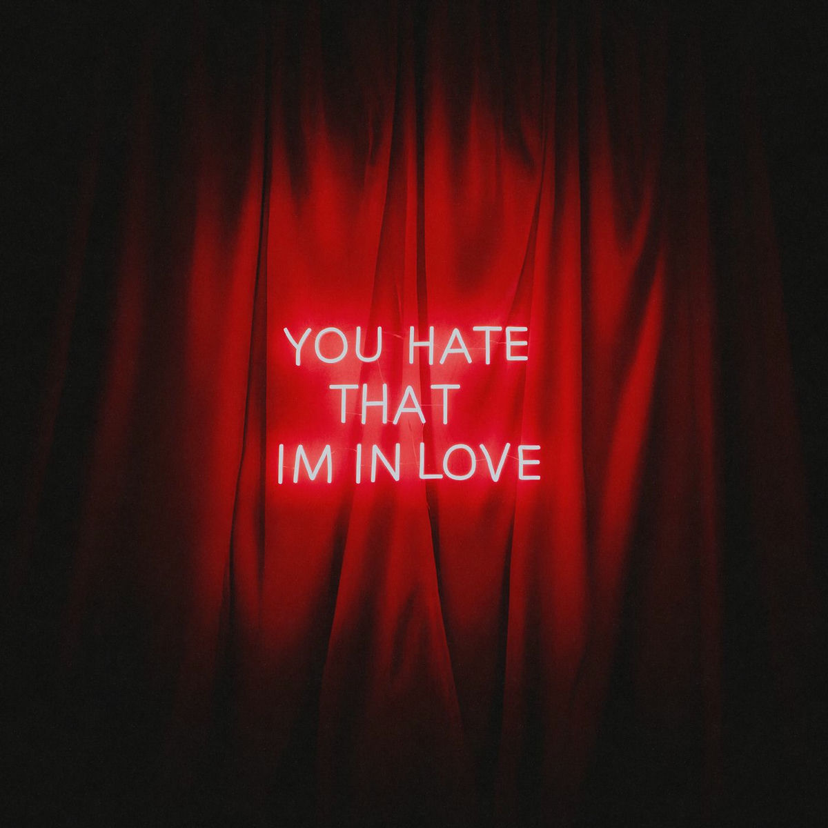 Album cover of You Hate That I’m In Love