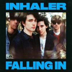 Cover of Falling In