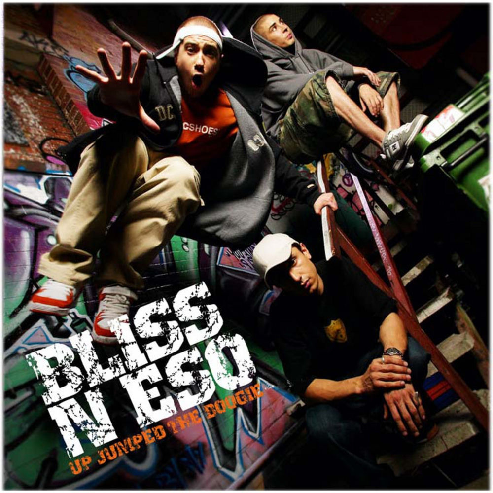 Album artwork for Up Jumped The Boogie (Radio Edit) by Bliss n Eso