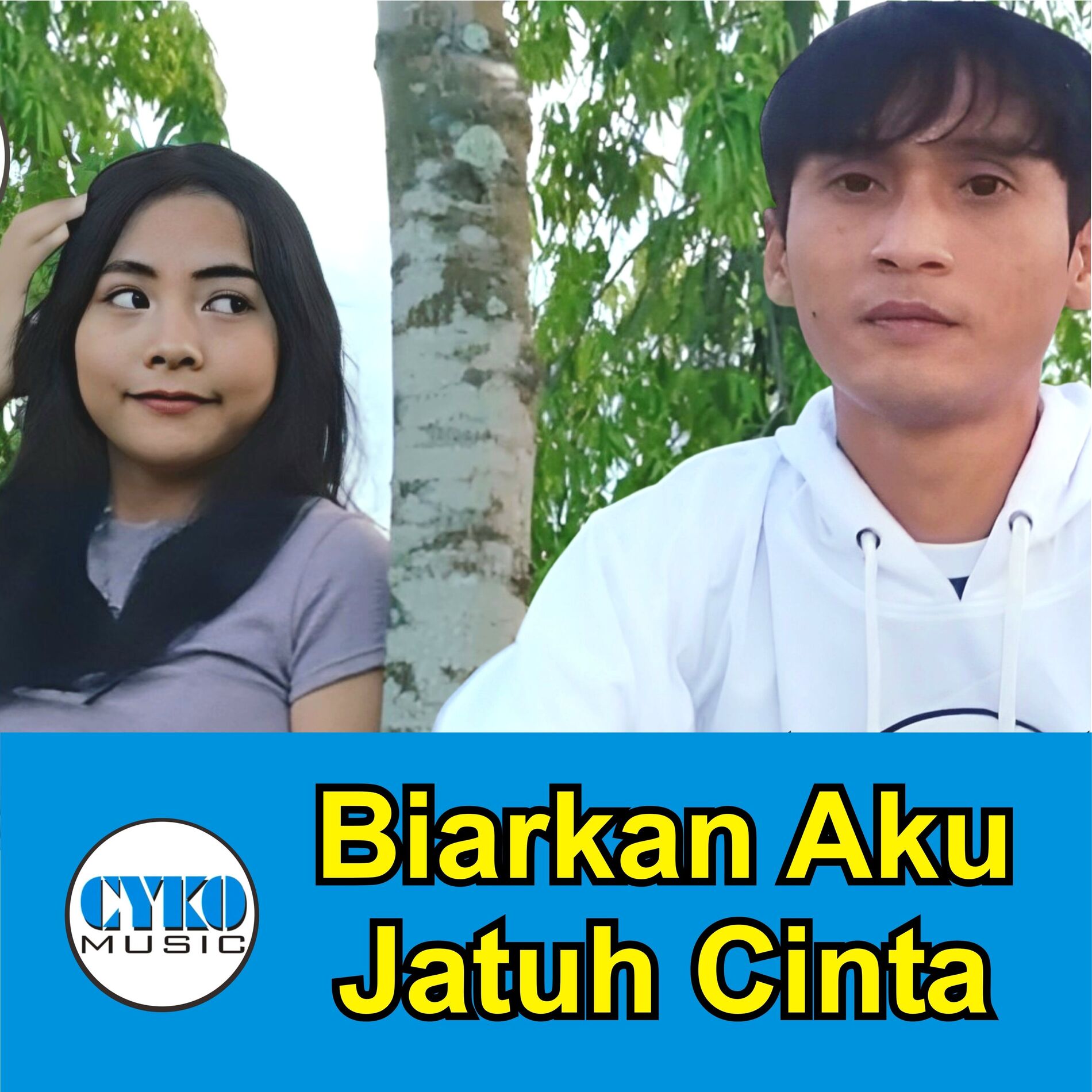 Album cover of Biarkan Aku Jatuh Cinta