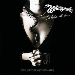 Cover of Slide It In (2019 Remaster)