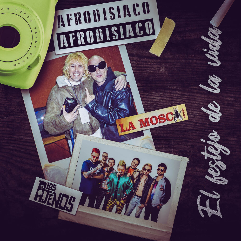 Picture of El Festejo de la Vida