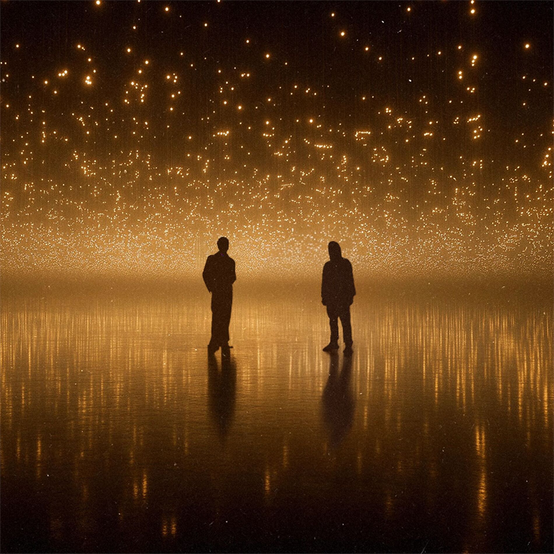 Album cover of Story of a Bird