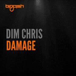 Cover of Damage