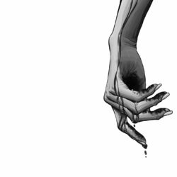 Cover of Notes From A Wrist