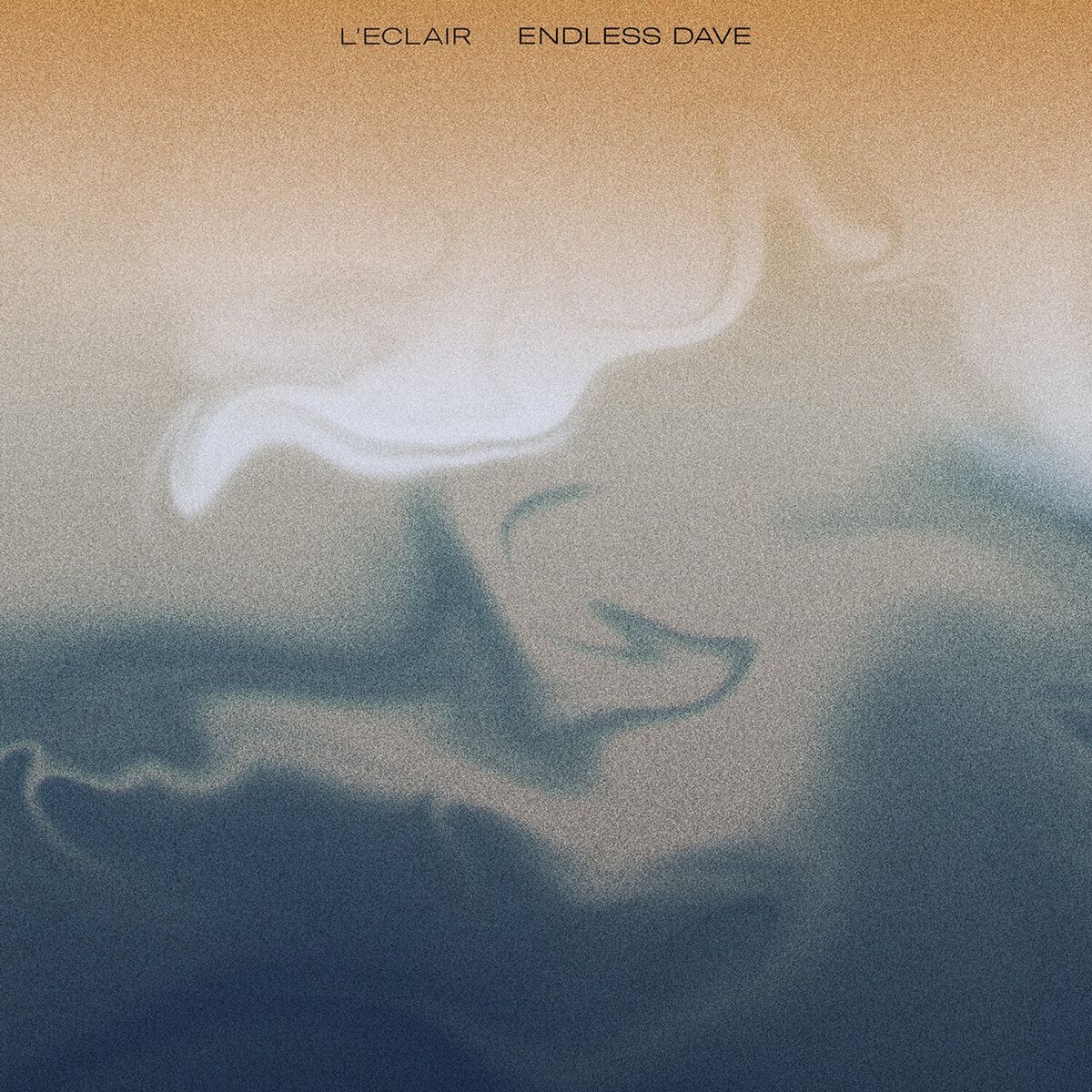 Album cover of Endless Dave