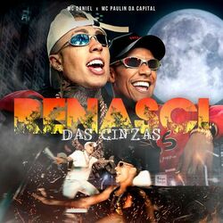 Cover of Renasci das Cinzas