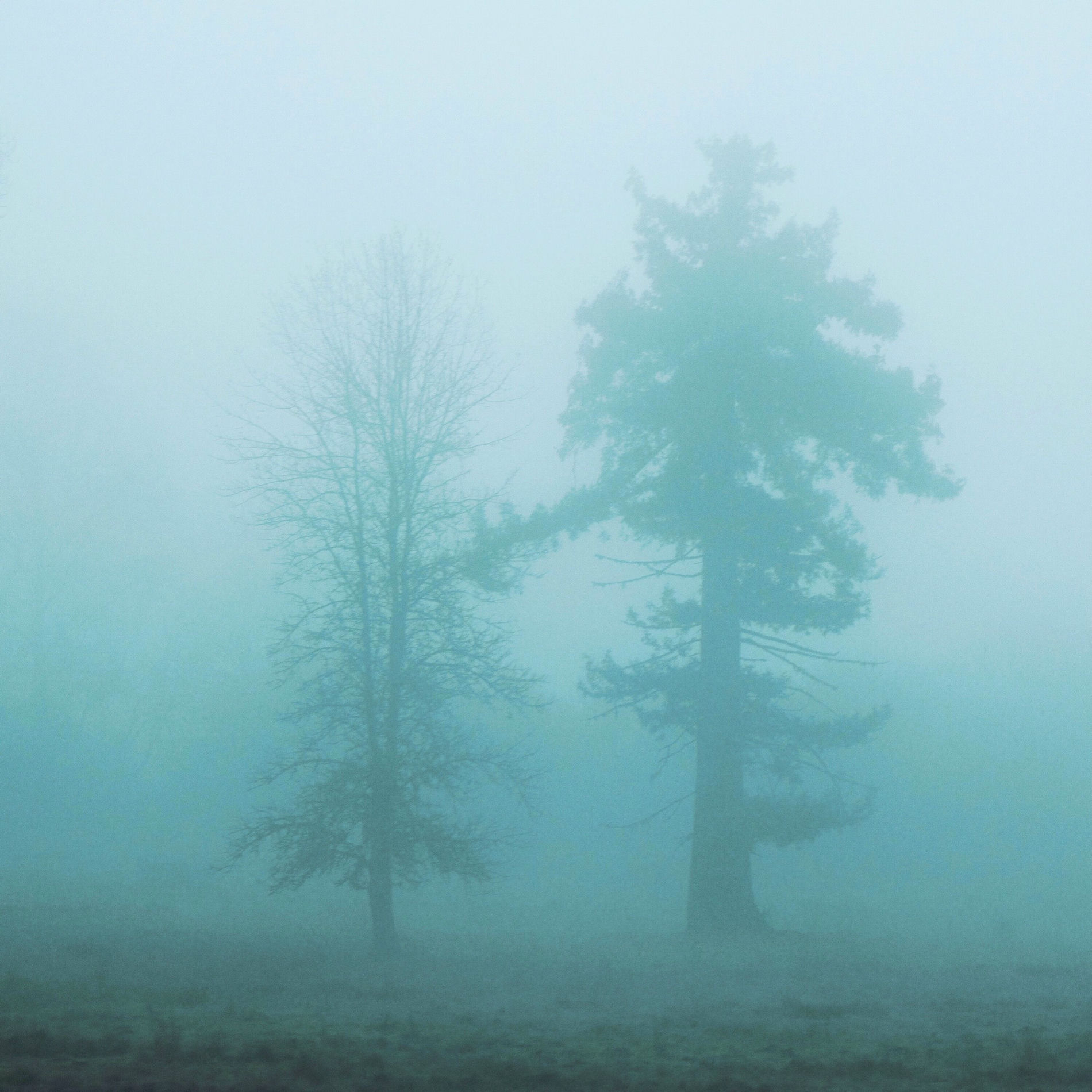 Album cover of whisper