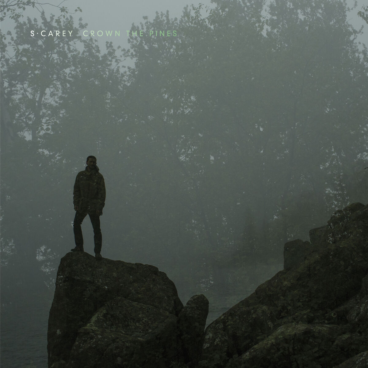 Album cover of Crown the Pines