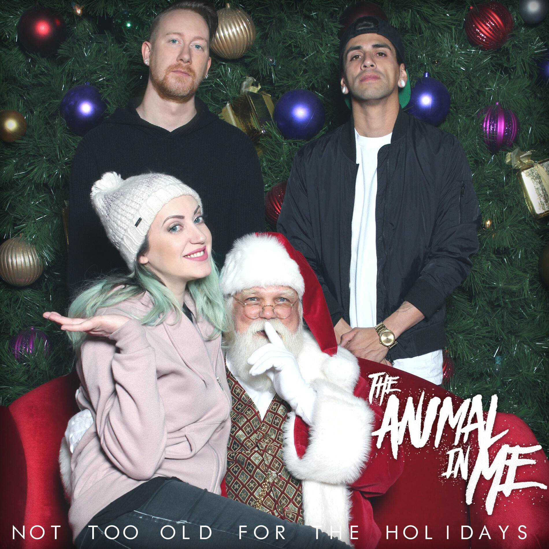 Album cover of Not Too Old for the Holidays
